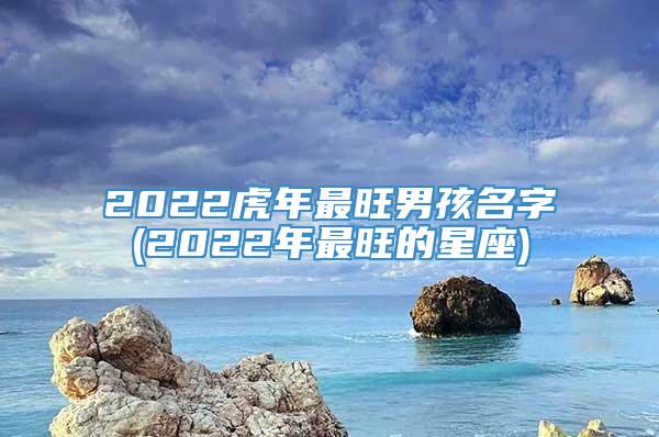 2022虎年最旺男孩名字(2022年最旺的星座)