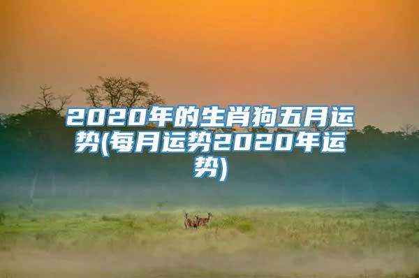2020年的生肖狗五月运势(每月运势2020年运势)