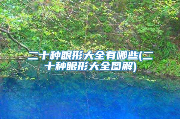 二十种眼形大全有哪些(二十种眼形大全图解)