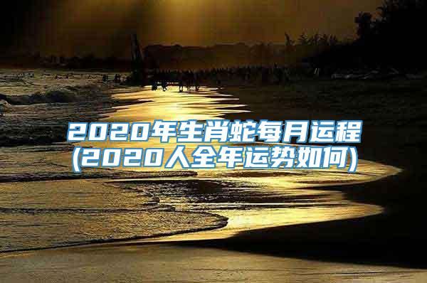 2020年生肖蛇每月运程(2020人全年运势如何)