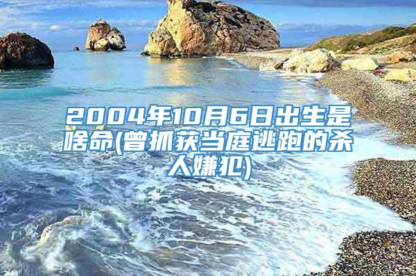 2004年10月6日出生是啥命(曾抓获当庭逃跑的杀人嫌犯)