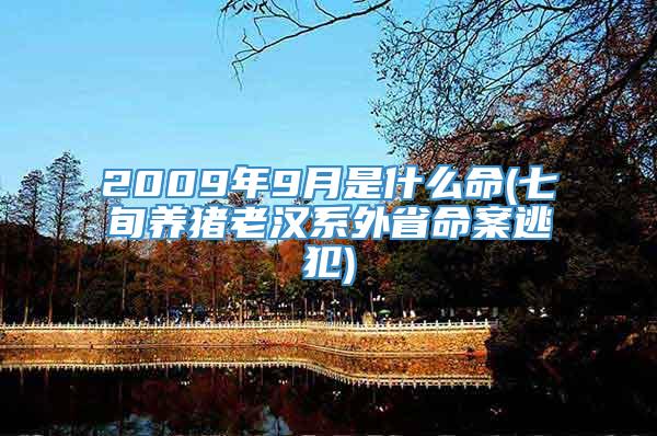 2009年9月是什么命(七旬养猪老汉系外省命案逃犯)