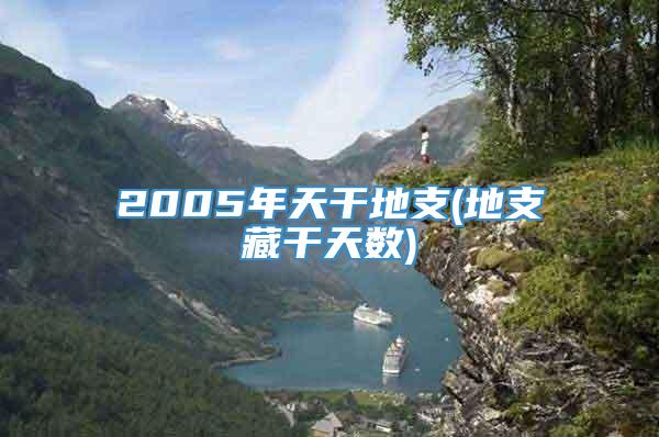 2005年天干地支(地支藏干天数)