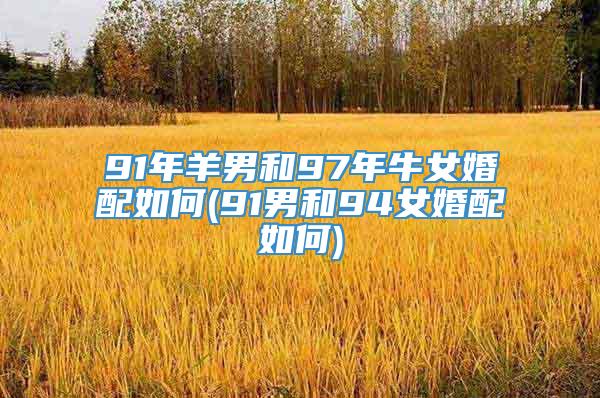 91年羊男和97年牛女婚配如何(91男和94女婚配如何)
