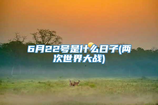 6月22号是什么日子(两次世界大战)