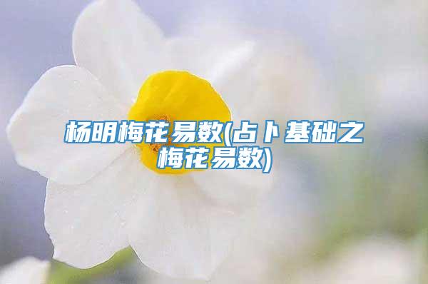 杨明梅花易数(占卜基础之梅花易数)