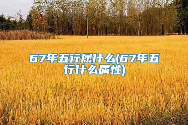 67年五行属什么(67年五行什么属性)