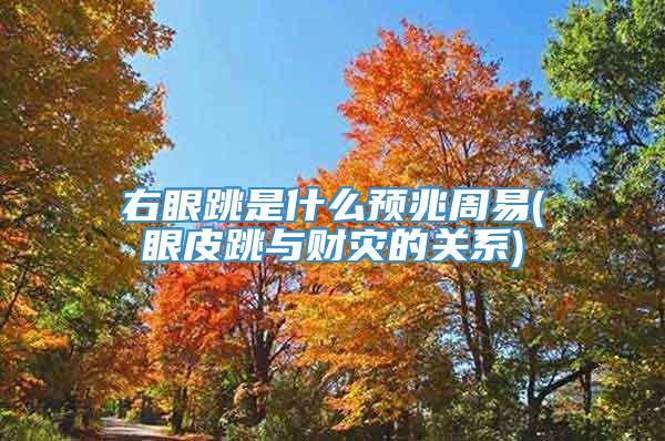 右眼跳是什么预兆周易(眼皮跳与财灾的关系)