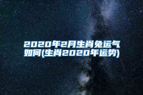 2020年2月生肖兔运气如何(生肖2020年运势)