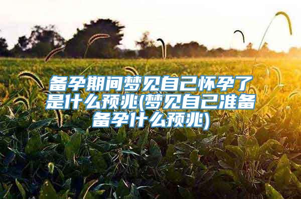 备孕期间梦见自己怀孕了是什么预兆(梦见自己准备备孕什么预兆)