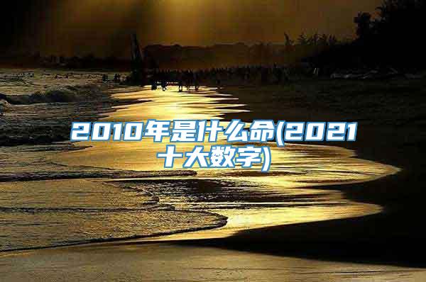 2010年是什么命(2021十大数字)