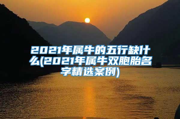 2021年属牛的五行缺什么(2021年属牛双胞胎名字精选案例)