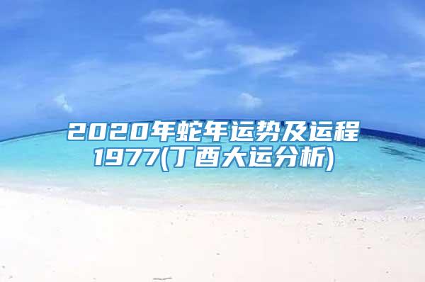 2020年蛇年运势及运程1977(丁酉大运分析)
