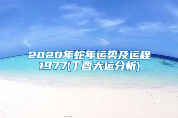 2020年蛇年运势及运程1977(丁酉大运分析)