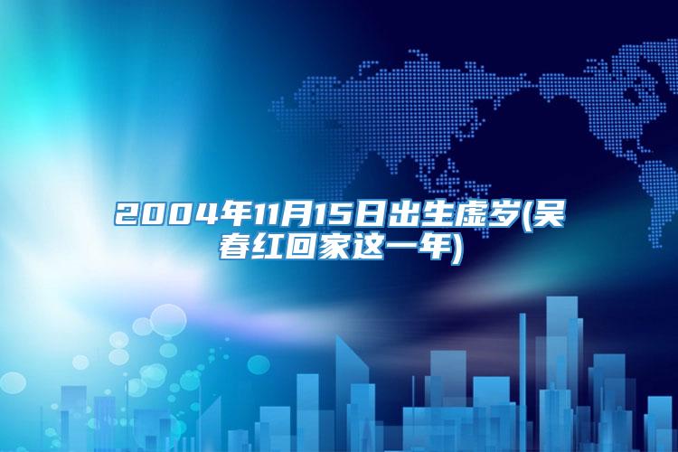 2004年11月15日出生虚岁(吴春红回家这一年)