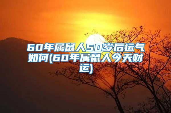 60年属鼠人50岁后运气如何(60年属鼠人今天财运)