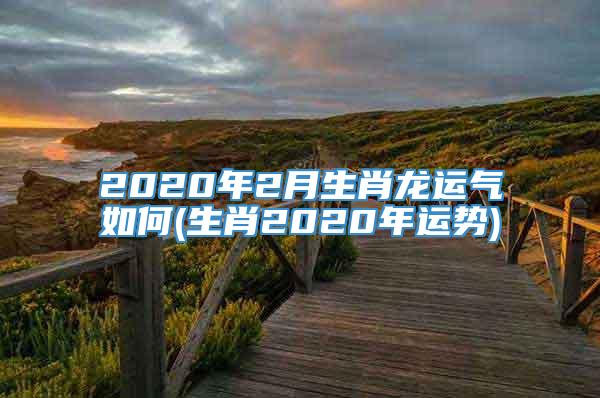 2020年2月生肖龙运气如何(生肖2020年运势)