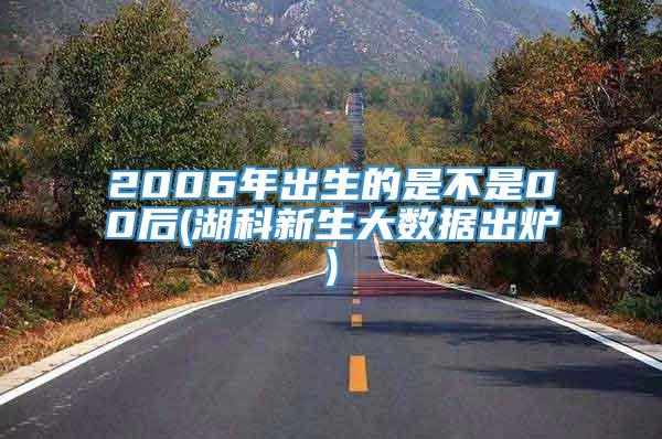 2006年出生的是不是00后(湖科新生大数据出炉)