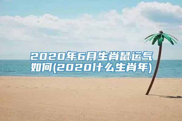 2020年6月生肖鼠运气如何(2020什么生肖年)