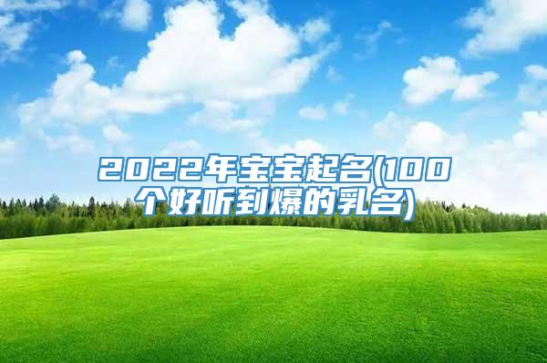 2022年宝宝起名(100个好听到爆的乳名)