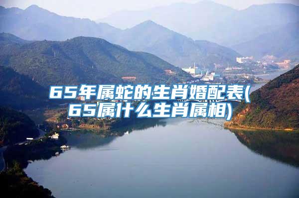 65年属蛇的生肖婚配表(65属什么生肖属相)