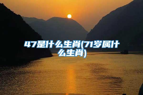 47是什么生肖(71岁属什么生肖)