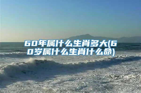 60年属什么生肖多大(60岁属什么生肖什么命)