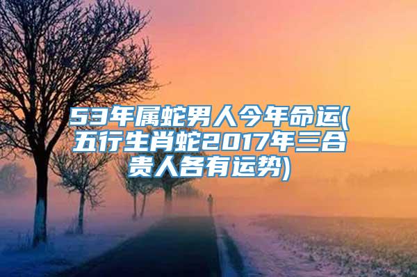 53年属蛇男人今年命运(五行生肖蛇2017年三合贵人各有运势)