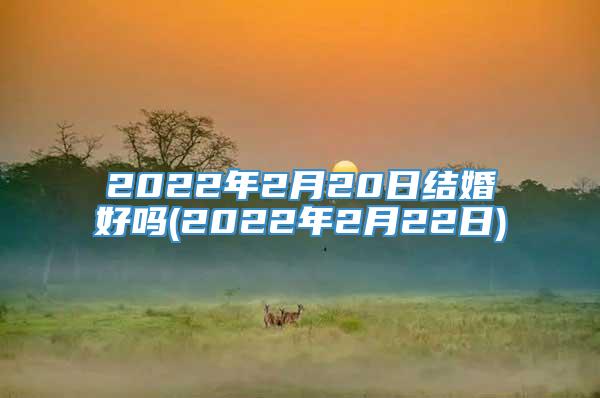 2022年2月20日结婚好吗(2022年2月22日)