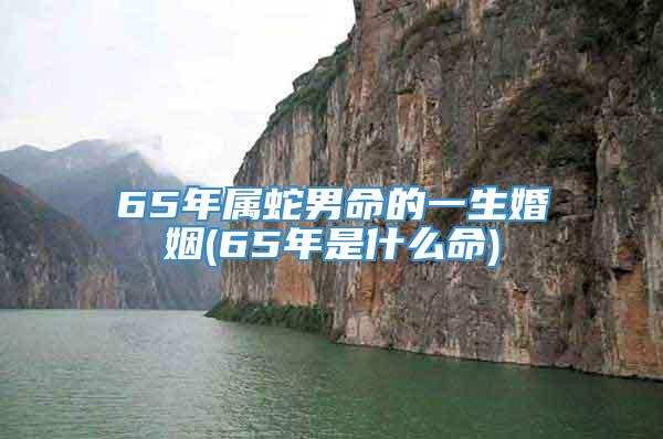 65年属蛇男命的一生婚姻(65年是什么命)