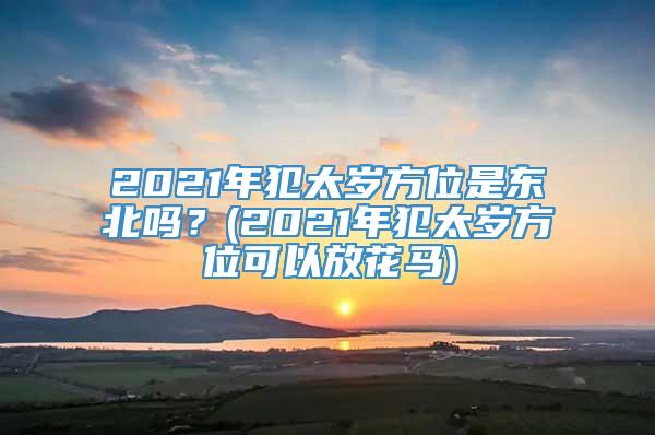 2021年犯太岁方位是东北吗？(2021年犯太岁方位可以放花马)