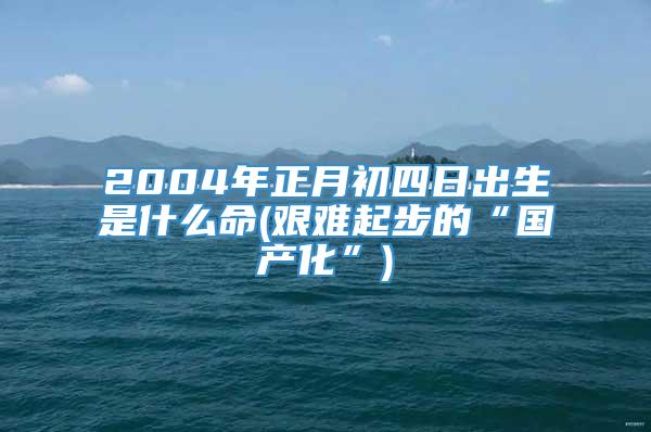 2004年正月初四日出生是什么命(艰难起步的“国产化”)