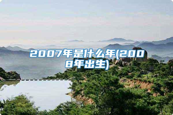 2007年是什么年(2008年出生)