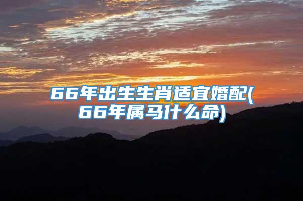 66年出生生肖适宜婚配(66年属马什么命)