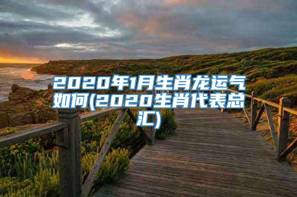 2020年1月生肖龙运气如何(2020生肖代表总汇)