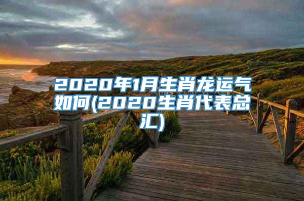 2020年1月生肖龙运气如何(2020生肖代表总汇)