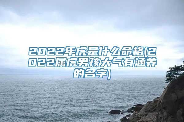 2022年虎是什么命格(2022属虎男孩大气有涵养的名字)