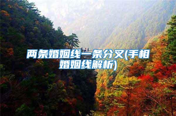两条婚姻线一条分叉(手相婚姻线解析)