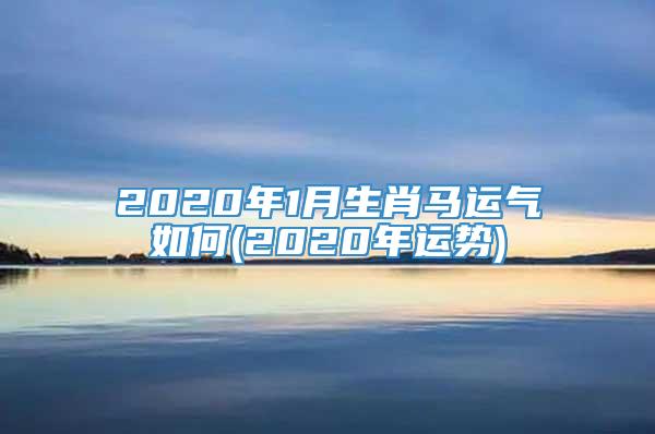 2020年1月生肖马运气如何(2020年运势)