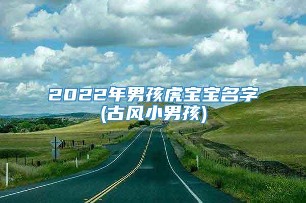 2022年男孩虎宝宝名字(古风小男孩)