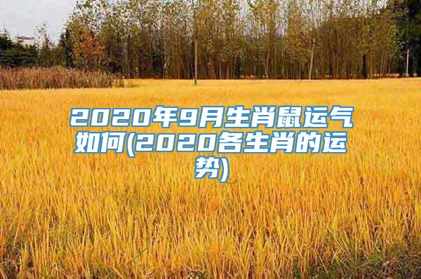 2020年9月生肖鼠运气如何(2020各生肖的运势)