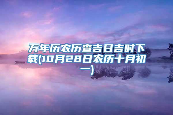 万年历农历查吉日吉时下载(10月28日农历十月初一)