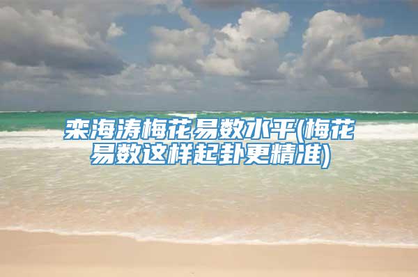 栾海涛梅花易数水平(梅花易数这样起卦更精准)