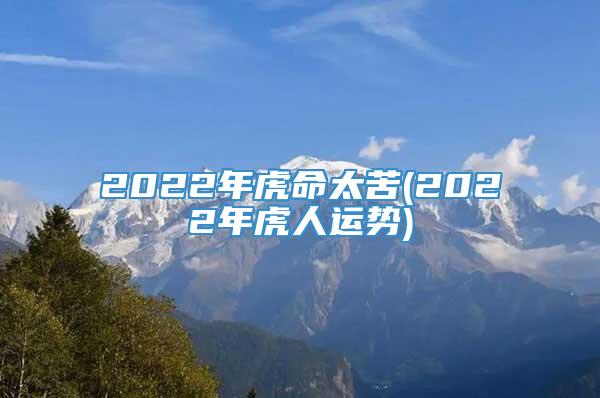 2022年虎命太苦(2022年虎人运势)