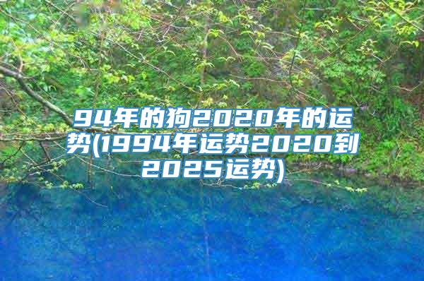 94年的狗2020年的运势(1994年运势2020到2025运势)