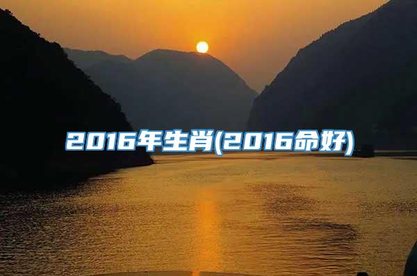 2016年生肖(2016命好)