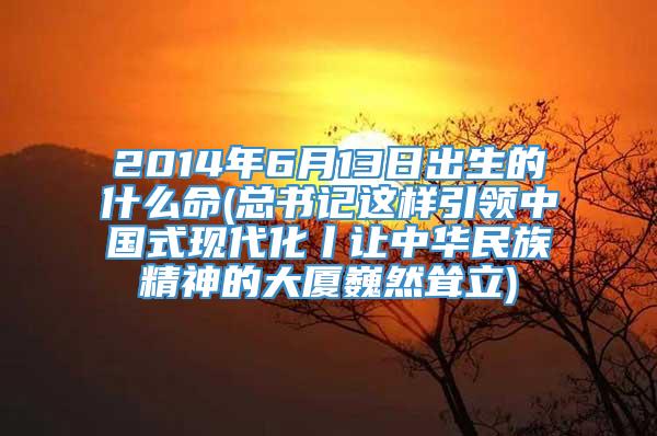 2014年6月13日出生的什么命(总书记这样引领中国式现代化丨让中华民族精神的大厦巍然耸立)