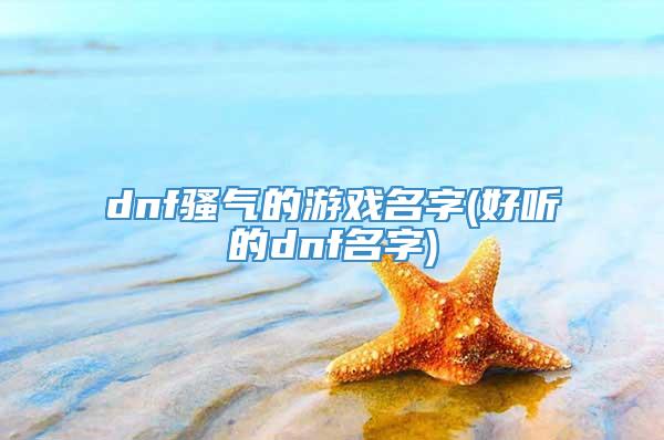 dnf骚气的游戏名字(好听的dnf名字)