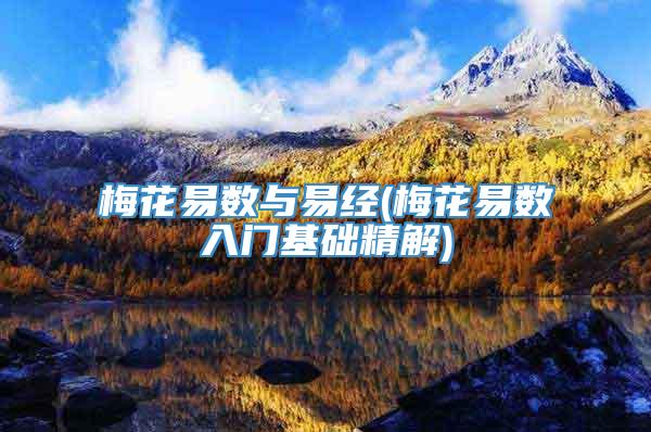 梅花易数与易经(梅花易数入门基础精解)