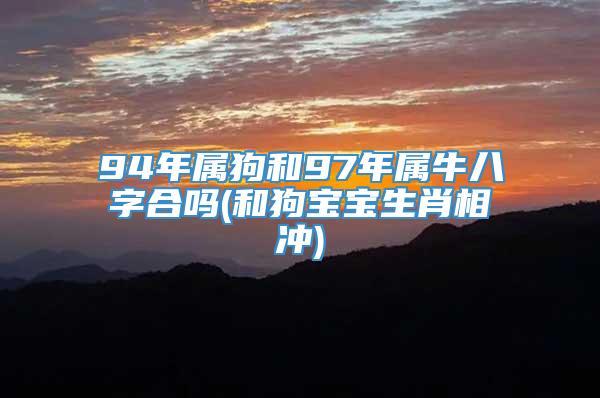 94年属狗和97年属牛八字合吗(和狗宝宝生肖相冲)